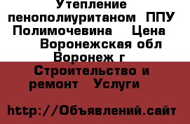 Утепление пенополиуританом (ППУ) Полимочевина. › Цена ­ 800 - Воронежская обл., Воронеж г. Строительство и ремонт » Услуги   